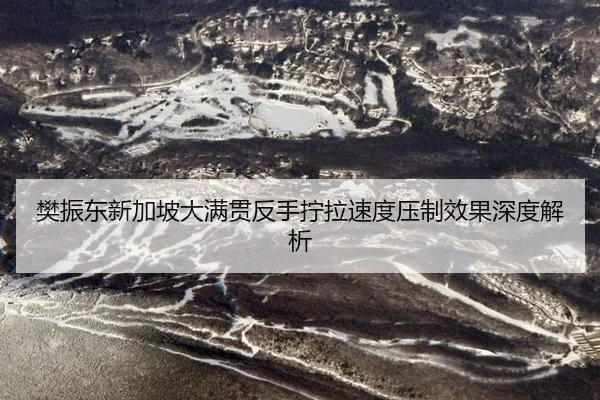 fan-zhen-dong-xin-jia-po-da-man-guan-fan-shou-ning-la-su-du-ya-zhi-xiao-guo-shen-du-jie-xi-2-791.jpg